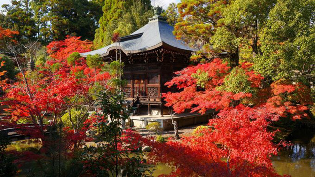 흔한 일본 교토의 풍경들 ㄷㄷ | 인스티즈