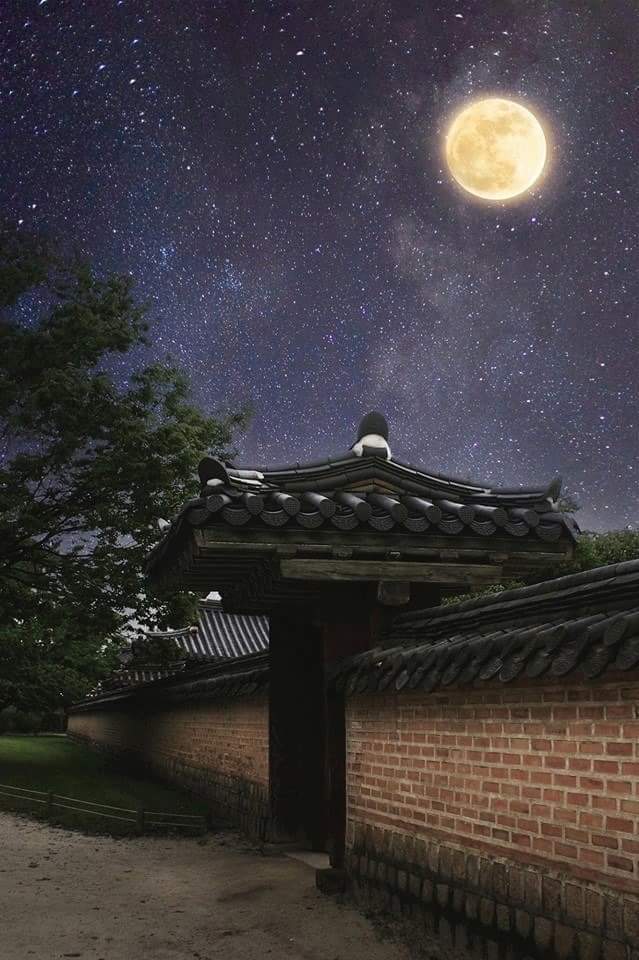 다시 봄이 오면 너는 또 봄일까 | 인스티즈