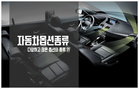 자동차 옵션 중, 절대로 포기 못하는 옵션은? | 인스티즈