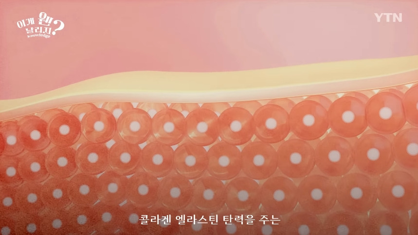 혈당 관리 안하면 빨리 늙는 이유.jpg | 인스티즈