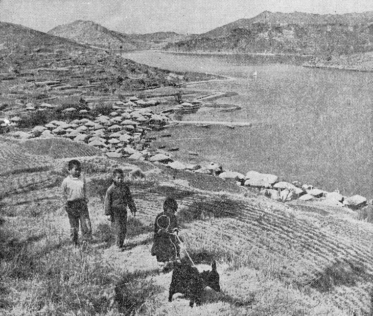 1960년대 대한민국 이모저모.jpg | 인스티즈