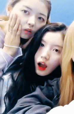 프리스틴 도도하게 생겼지만 코기를 담당하고 있는 시연이 | 인스티즈