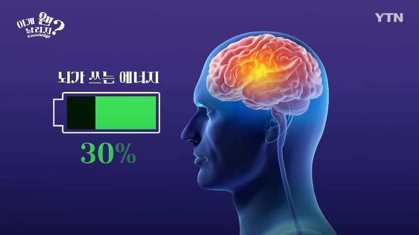 혈당 관리 안하면 빨리 늙는 이유.jpg | 인스티즈