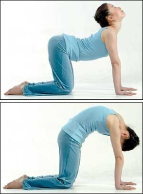 [정보] 유용한 요가자세 - 고양이자세.jpgif | 인스티즈