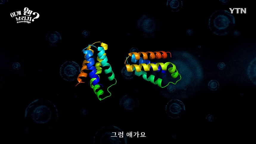 혈당 관리 안하면 빨리 늙는 이유.jpg | 인스티즈