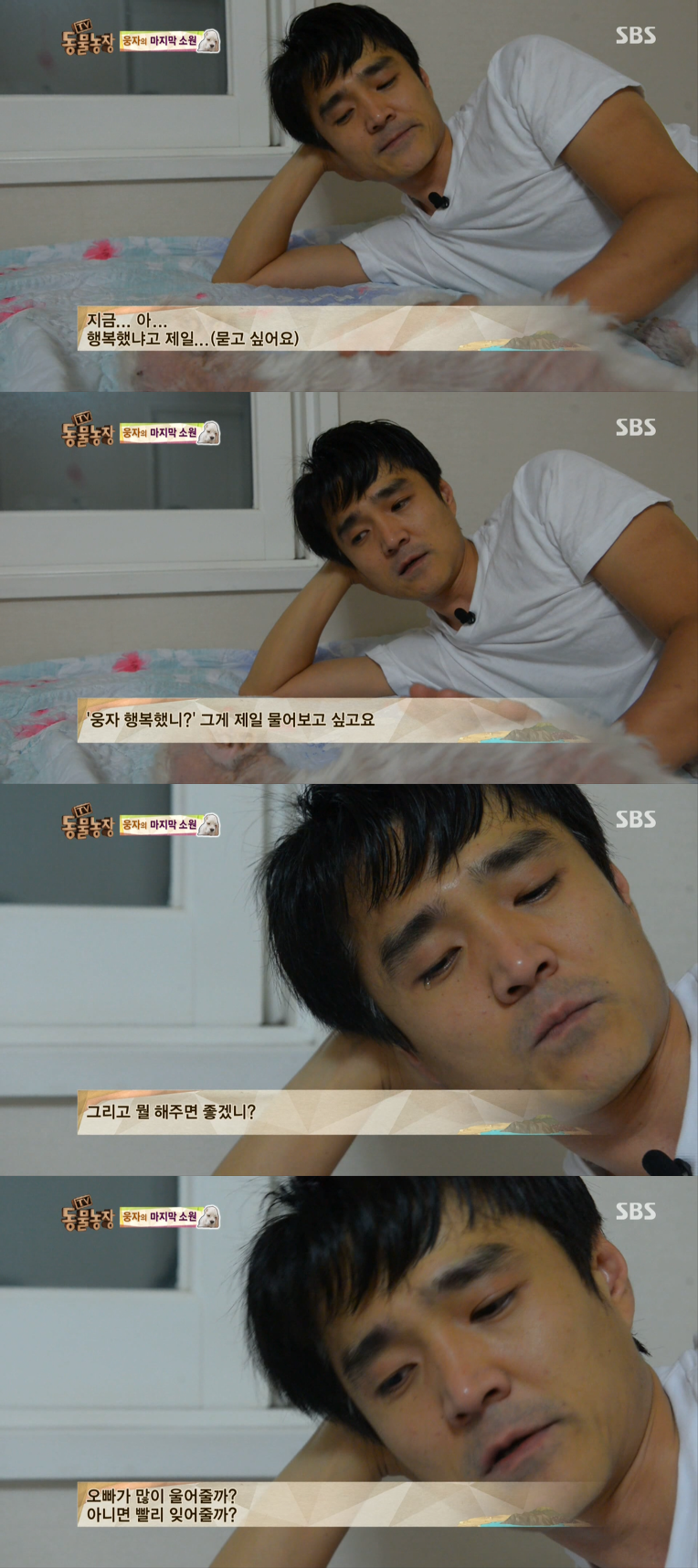 동물농장이 낳은 최고의 스타견 웅자 근황 | 인스티즈
