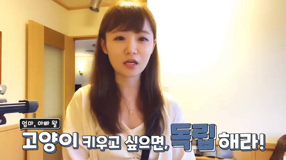 [스압주의] 일본인 캣맘 유튜버 1편 - 포크레인으로 마당 갈아엎음 | 인스티즈