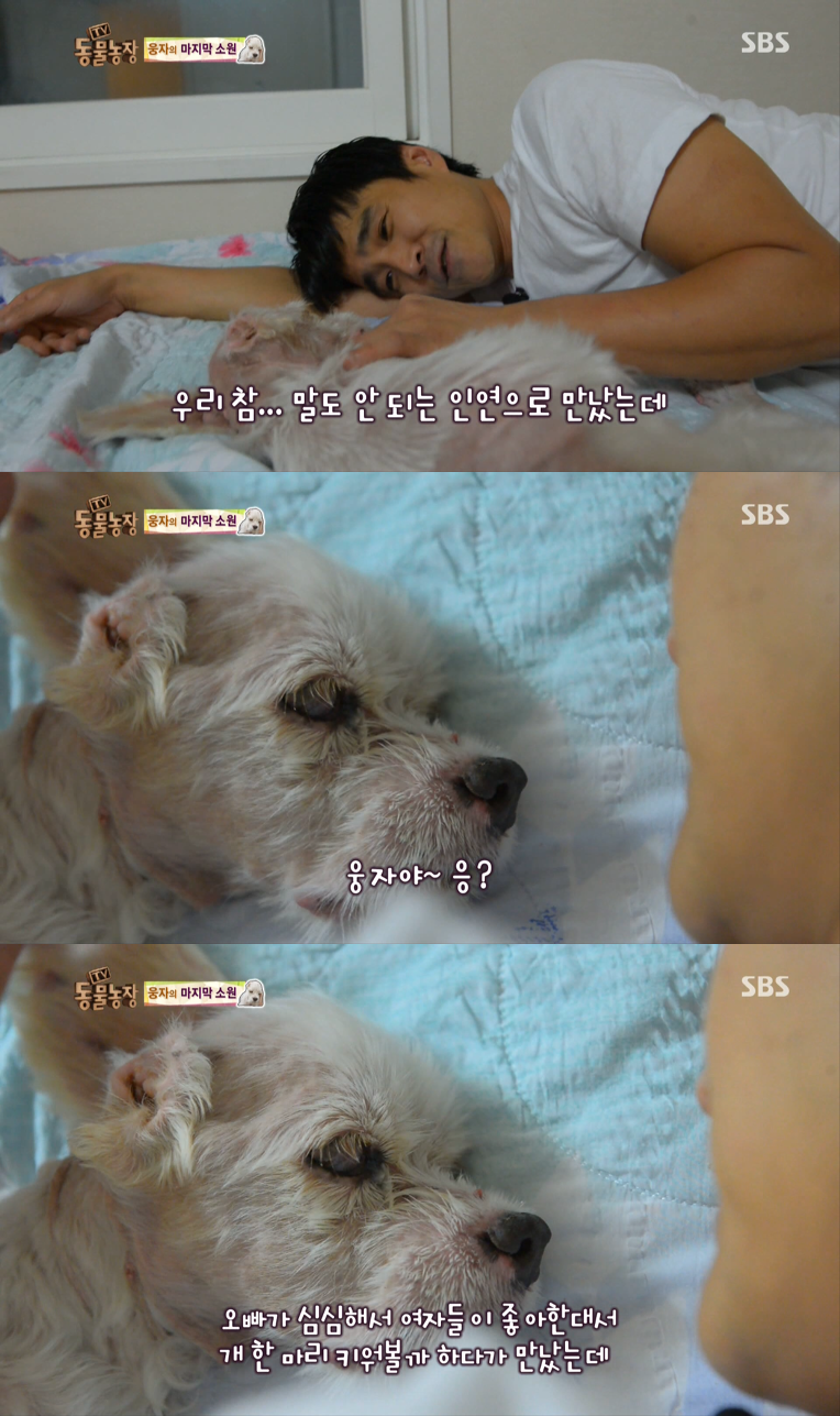 동물농장이 낳은 최고의 스타견 웅자 근황 | 인스티즈