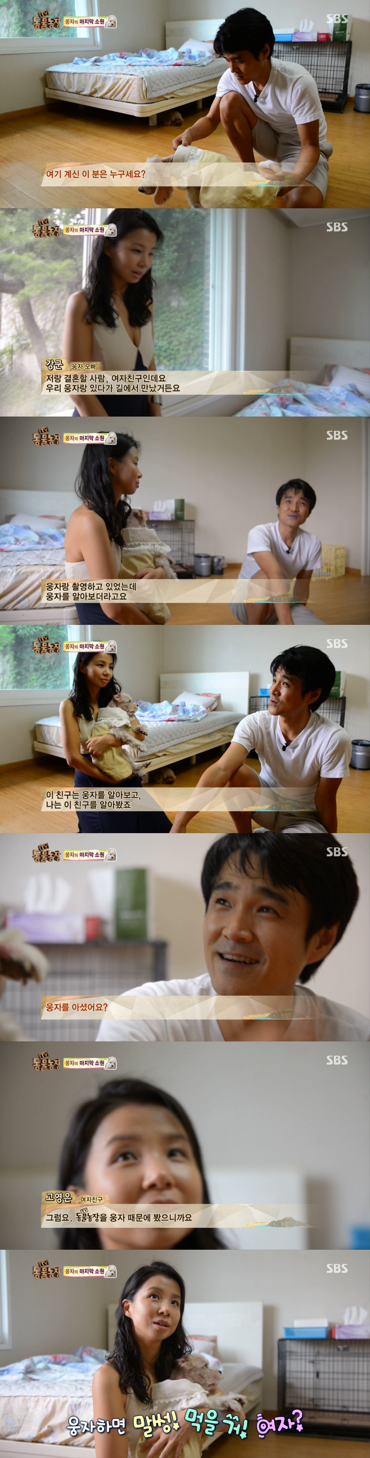 동물농장이 낳은 최고의 스타견 웅자 근황 | 인스티즈
