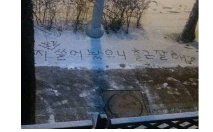 네이트판 4대 모두의 이상형 남편(feat.귀여움폭팔,사랑꾼들 주의) | 인스티즈