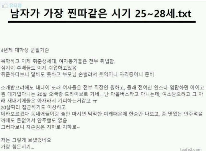 남자 25~28살 느끼는 감정 .txt | 인스티즈