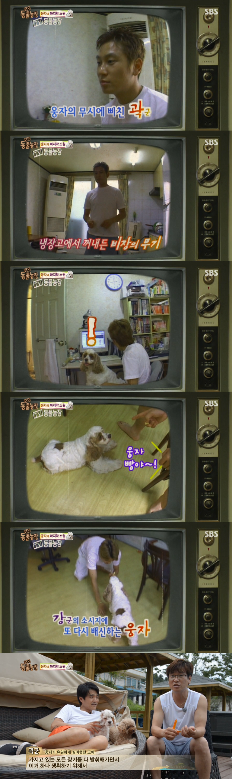 동물농장이 낳은 최고의 스타견 웅자 근황 | 인스티즈