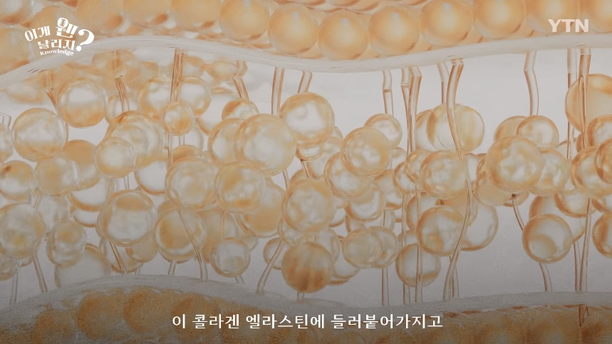 혈당 관리 안하면 빨리 늙는 이유.jpg | 인스티즈