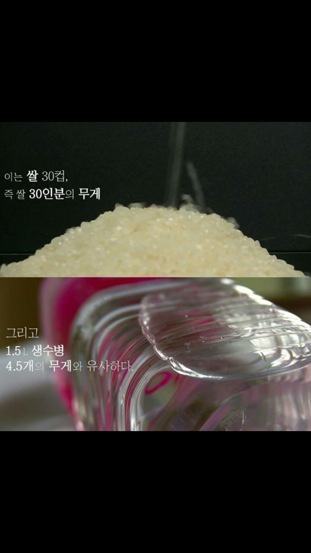 대한민국 고등학생의 가방 무게를 재어 보았다.jpg | 인스티즈