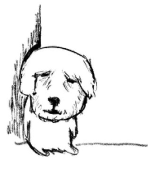 젊을 때 덕질 많이 하라는 말 이제 이해간다.twt | 인스티즈