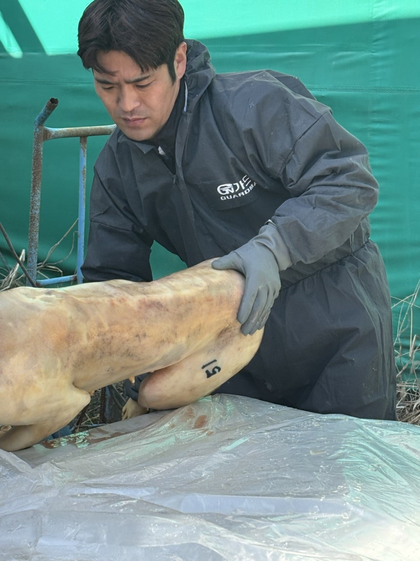 "개들을 위한 최소한 도리”… 불법도살 이후 방치된 사체, 수의 입히고 장례식 | 인스티즈