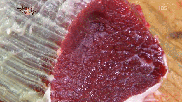 도축한지 1시간 된 소고기(feat.한국인의 밥상).gif | 인스티즈