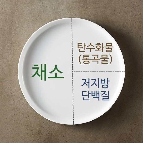 외국에서 당뇨예방+당뇨환자들에게 권장하는 원 플레이트(One-plates, 한접시) 식사 | 인스티즈