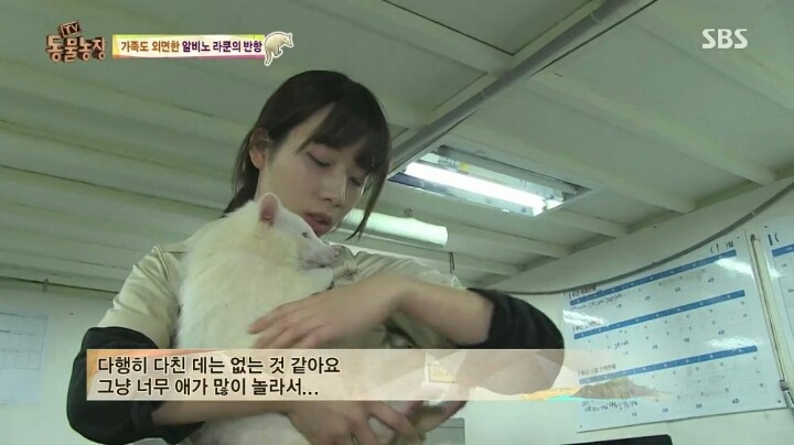 동물농장에 나온 여자 사육사 | 인스티즈