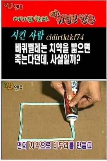 군대에 바퀴벌레가없는이유 | 인스티즈