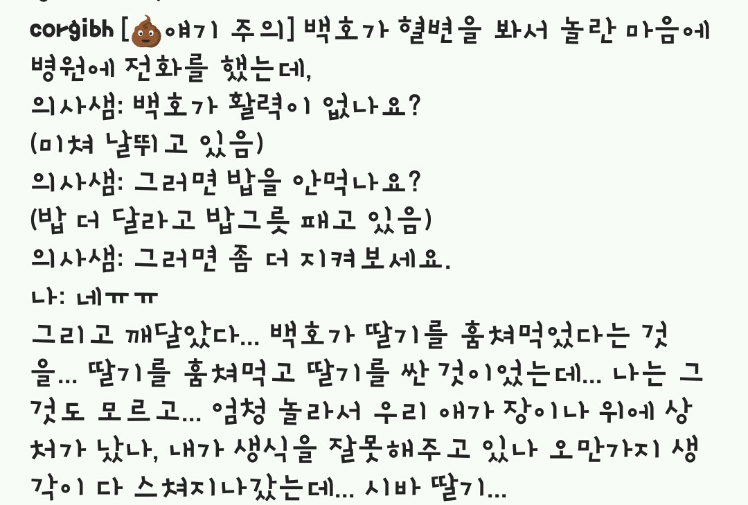 강아지가 혈변을 봐서 놀랬던 어느 견주.jpg | 인스티즈