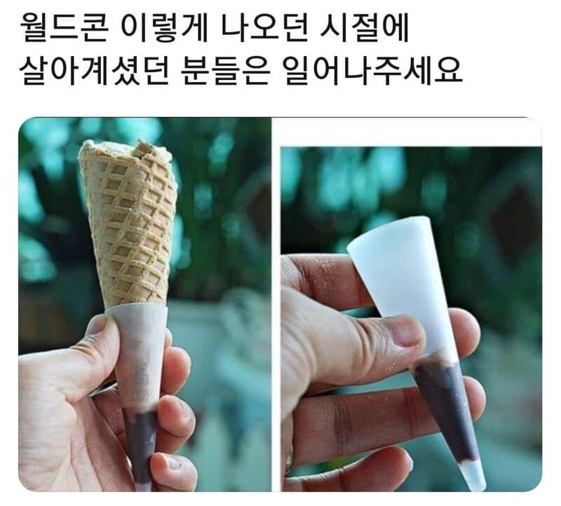 월드콘이 원래 이랬던걸 아는 사람 | 인스티즈