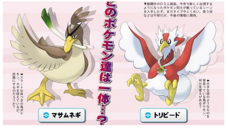 [고북손의포켓몬도감] 파오리는 왜 만들었을까 | 인스티즈