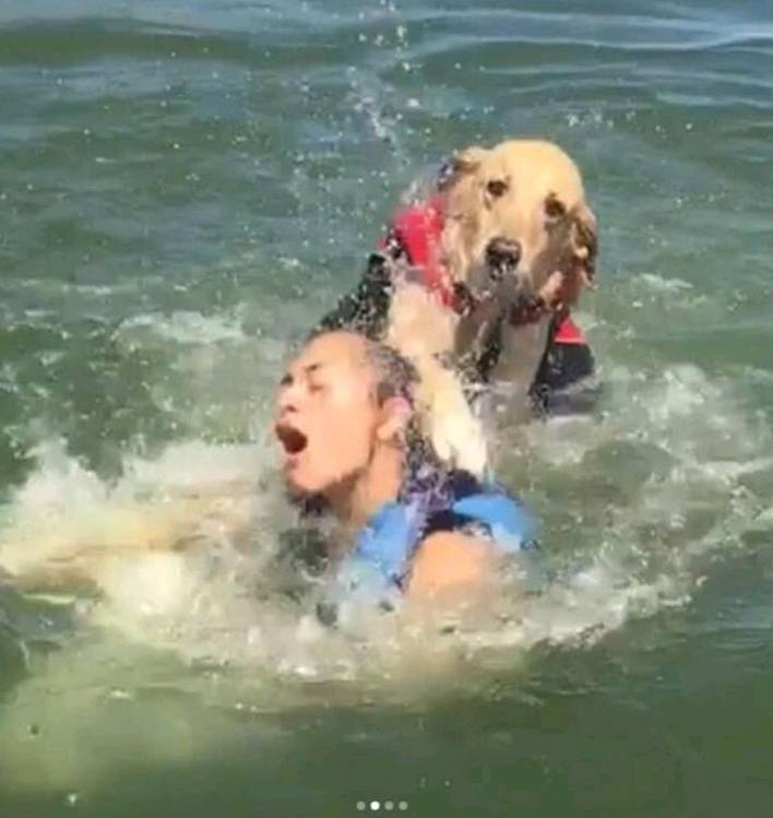 주인님 나가 뒤지십쇼.jpg | 인스티즈