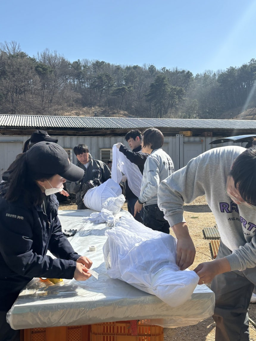 "개들을 위한 최소한 도리”… 불법도살 이후 방치된 사체, 수의 입히고 장례식 | 인스티즈