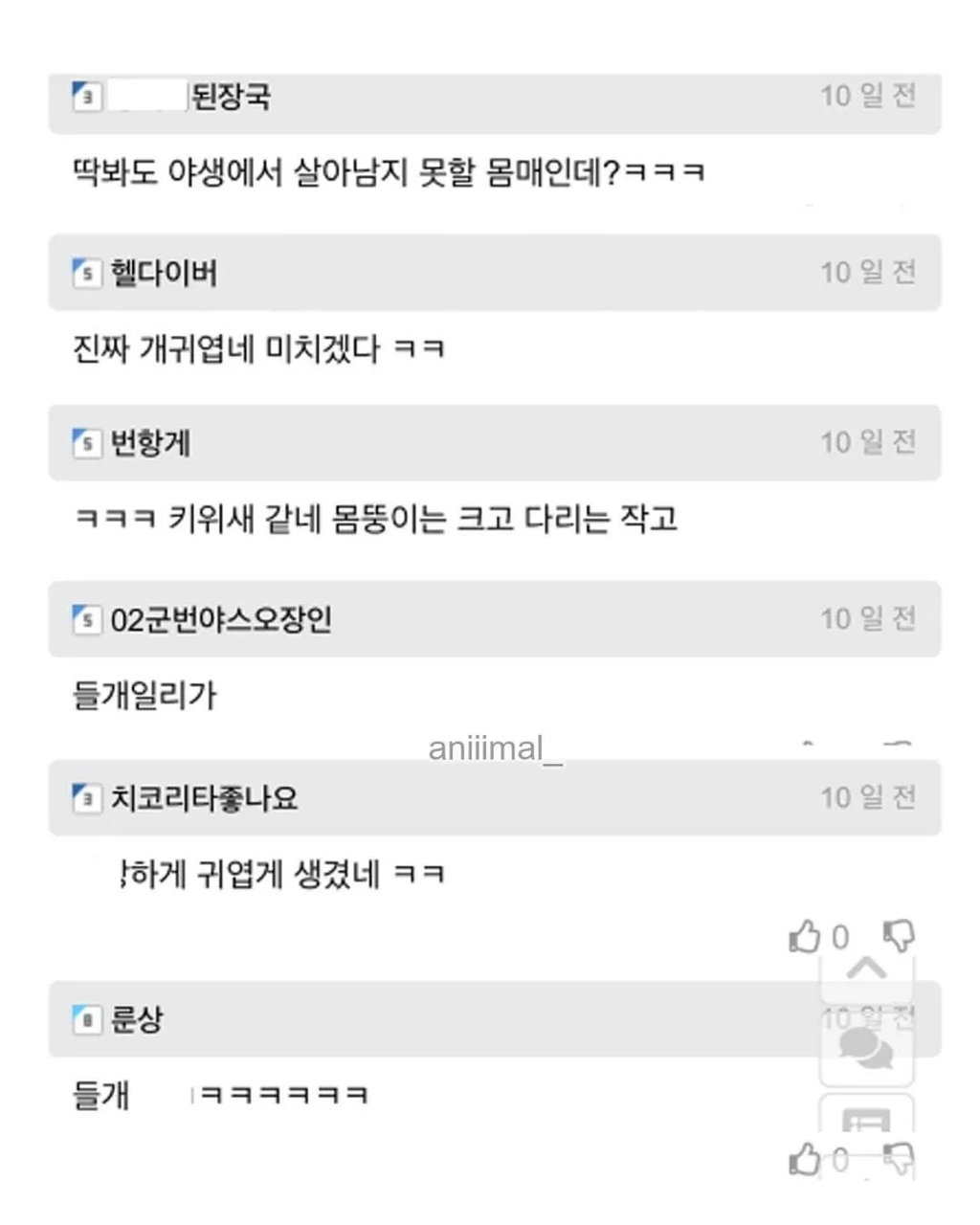 아파트에 웬 댕댕이가 돌아다니는데 어캄? | 인스티즈