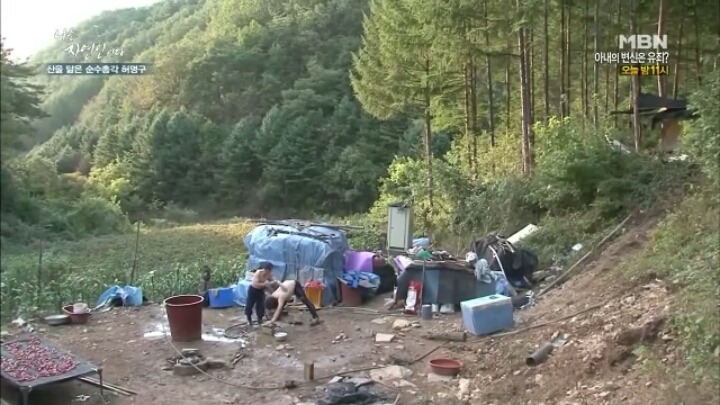 나는 자연인이다 말벌킬러 허명구씨ㅋㅋㅋㅋㅋㅋ | 인스티즈