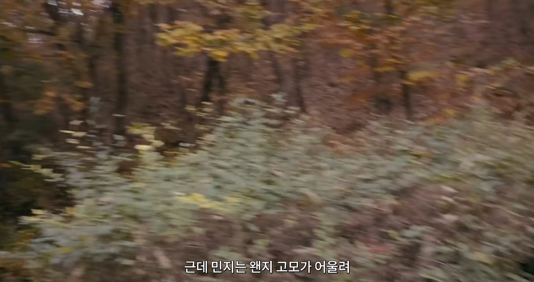 하말넘많 자기들끼리 이모 고모 논쟁 | 인스티즈