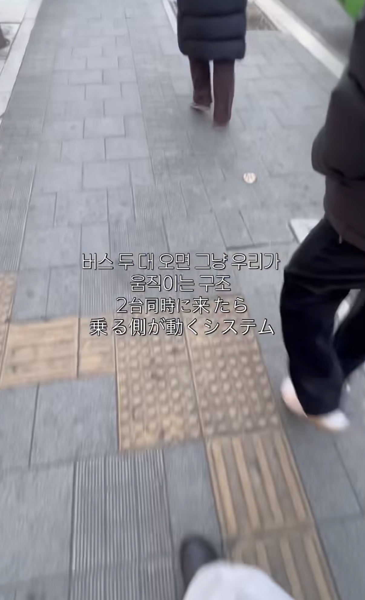 느긋한 자는 살아남지 못한다는 한국 시내버스 | 인스티즈