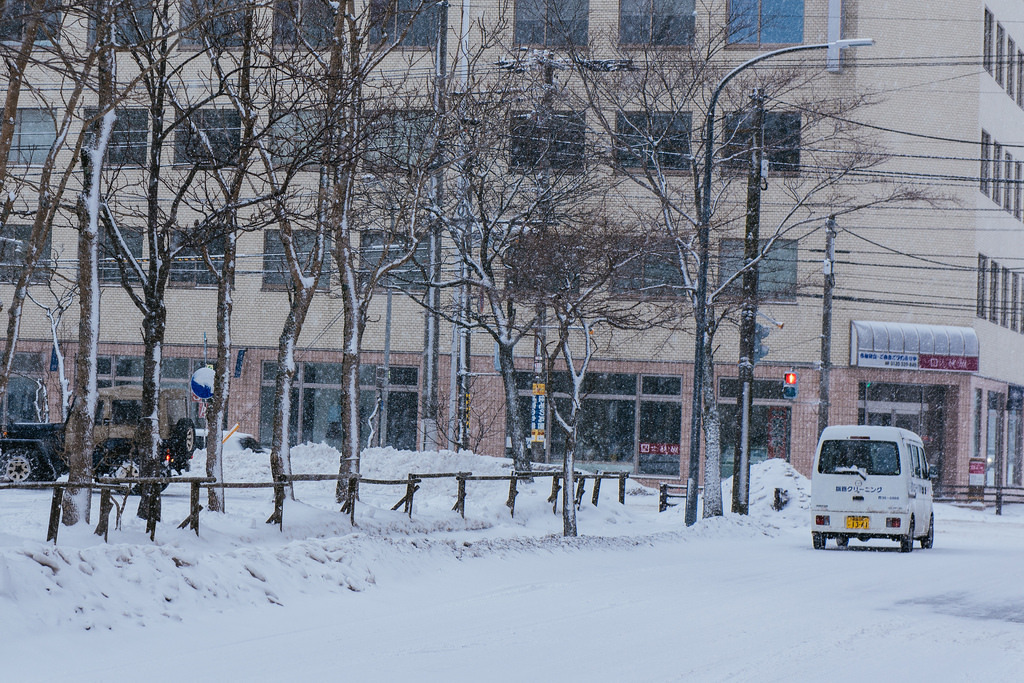 여시투어 겨울여행에 제격인 도시, 일본 홋카이도 (브금주의) | 인스티즈