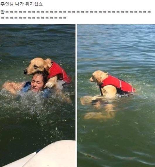 주인님 나가 뒤지십쇼.jpg | 인스티즈