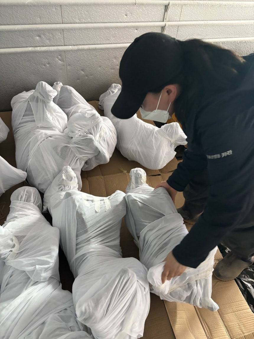 "개들을 위한 최소한 도리”… 불법도살 이후 방치된 사체, 수의 입히고 장례식 | 인스티즈