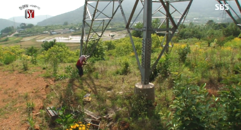 한전 개노답 근황 | 인스티즈