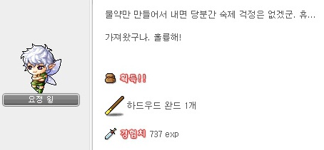 옛날 메이플 마법사 템트리.jpg | 인스티즈
