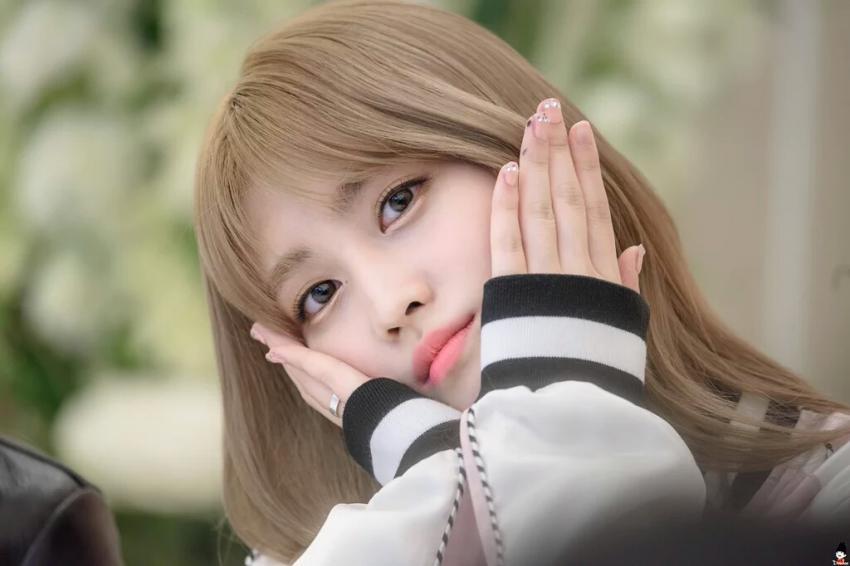 데뷔초 인기없다가 쭉쭉치고올라온 트와이스 멤버 | 인스티즈
