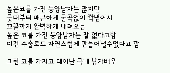 수술로도 불가능하고 동양에선 나오기 힘들다는 코를 가진 국내 남자배우 | 인스티즈