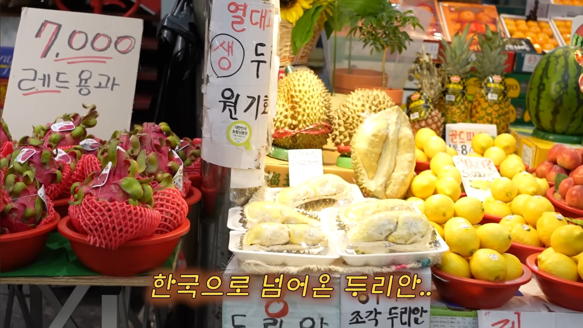 경동시장의 핀터레스트 감성에 계속 감탄하는 하말넘많 | 인스티즈