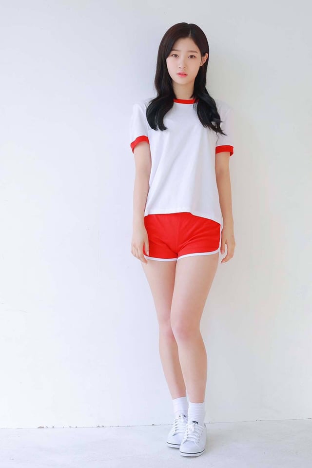 로타랑 또 작업한 다이아 | 인스티즈