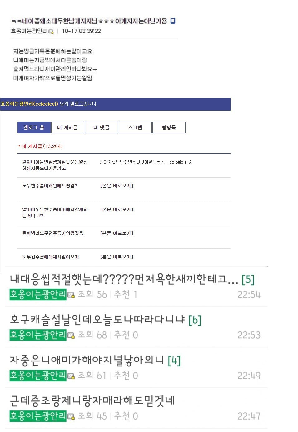 디씨 핼갤에서 가장 악명높은 패드립퍼 호옹이는광안리=헬매콜먼 유튜버 사과 | 인스티즈