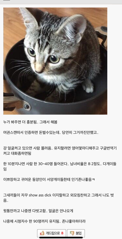 한 개드립 유저의 고백) 예전에 성인캠사이트에서 방송한적있다 | 인스티즈