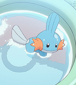 가장 귀여운 포켓몬을 골라보자! .jpgif | 인스티즈