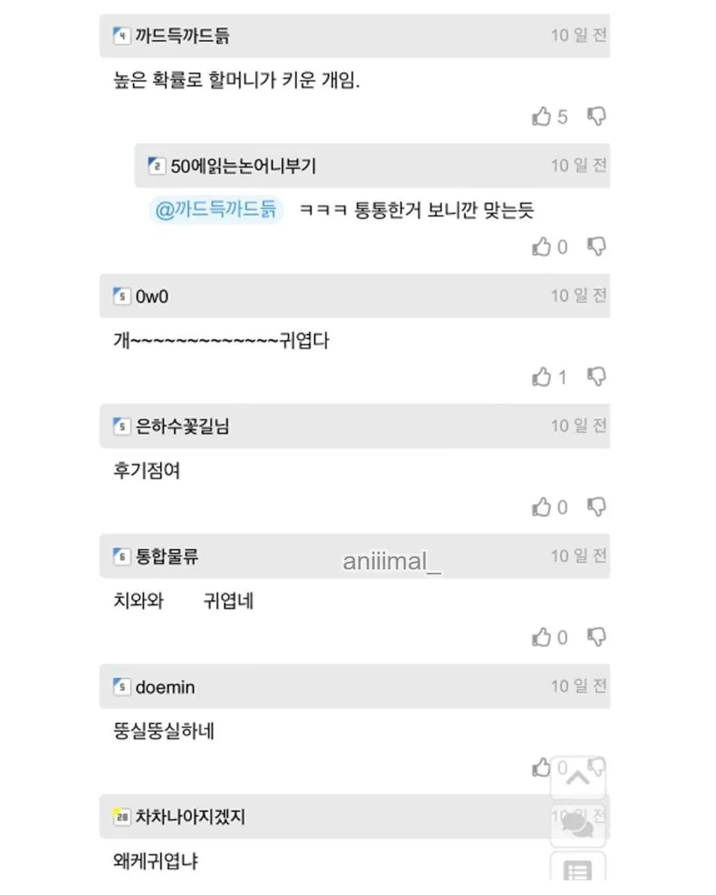 아파트에 웬 댕댕이가 돌아다니는데 어캄? | 인스티즈