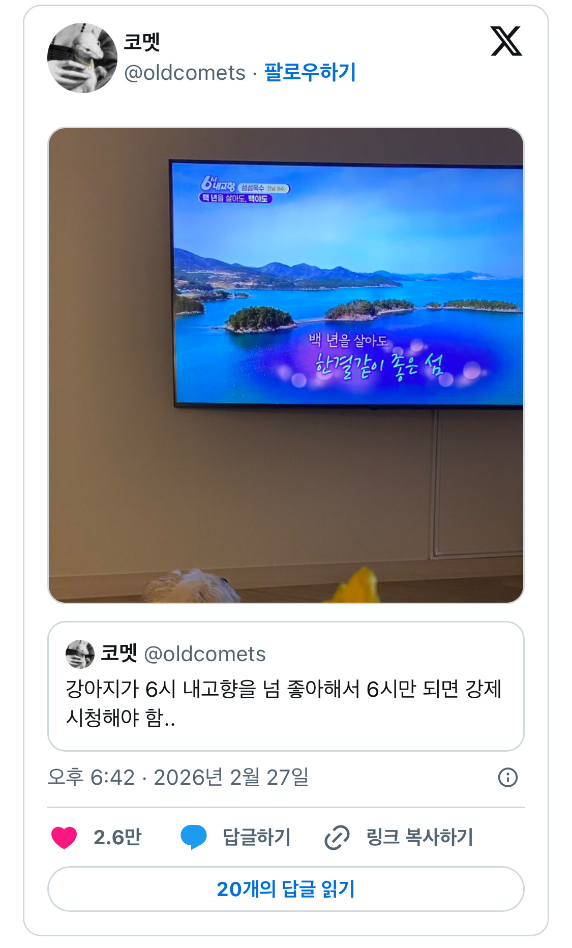 컨텐츠 향기를 맡고 연락 갈긴 동물농장 제작팀 | 인스티즈