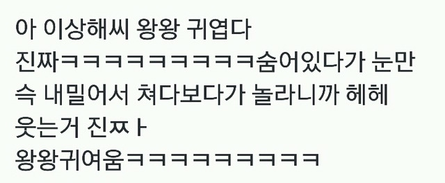 귀여운 이상해씨 | 인스티즈