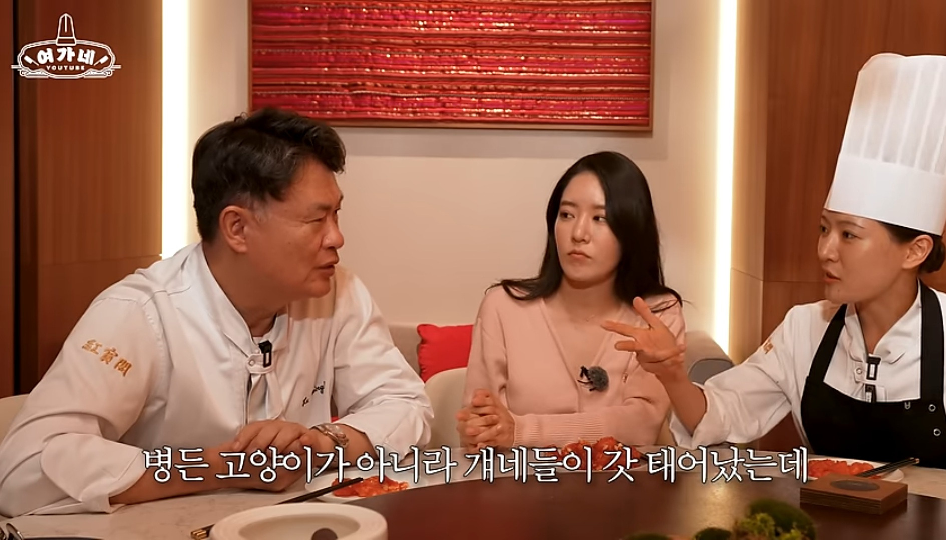 고양이 3마리 키운다는 여경래 셰프 | 인스티즈