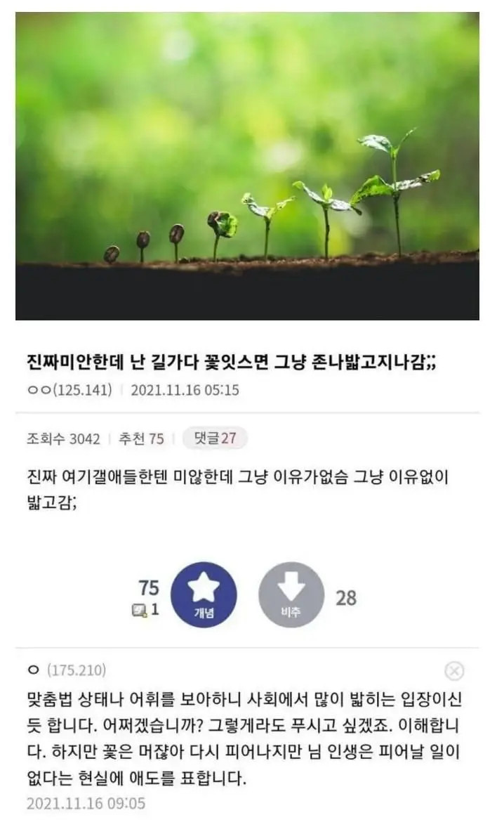 욕 안하고 사람 혼수상태 만드는 식물갤 | 인스티즈